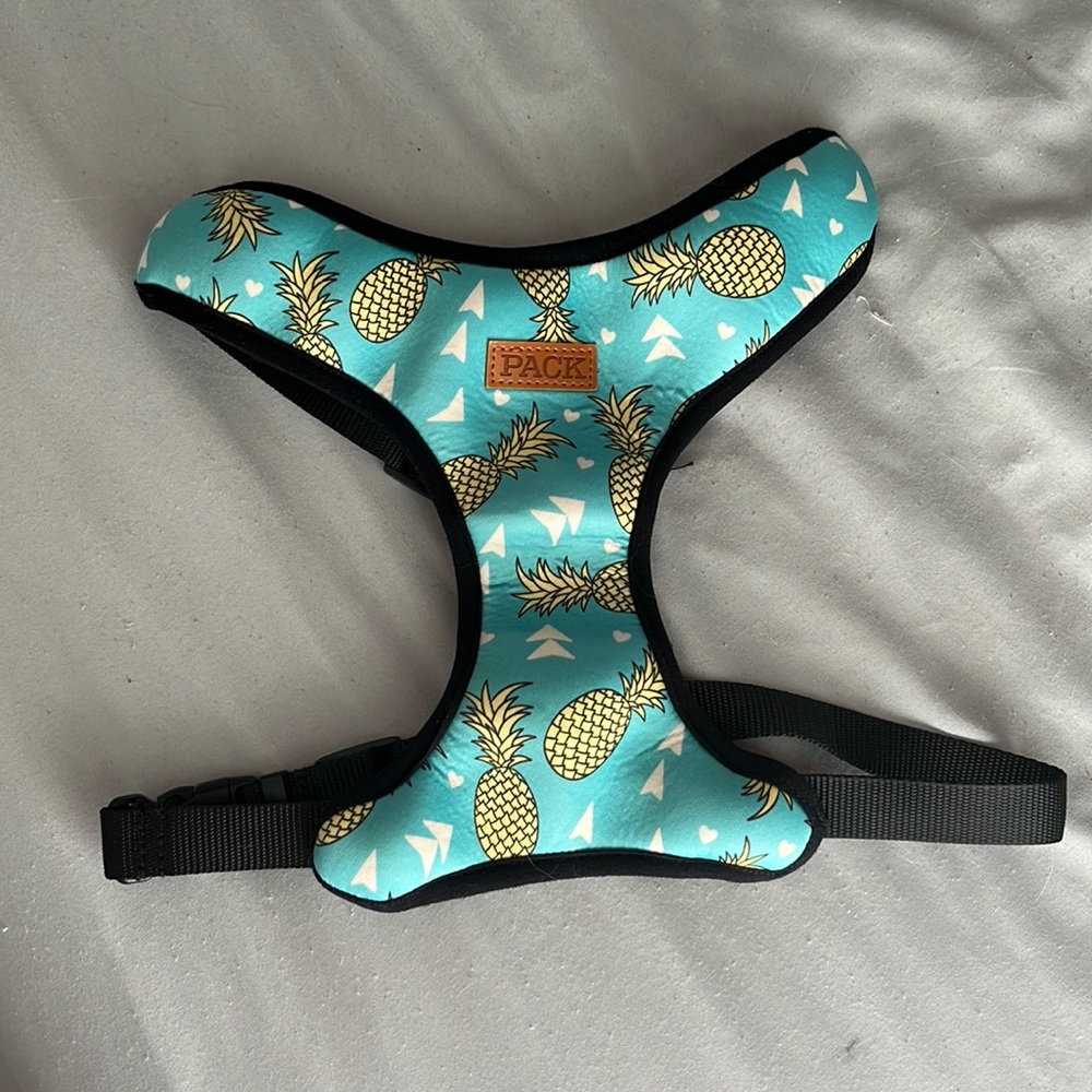 Pack Pineapple/Tropical Plant Reversible Harness